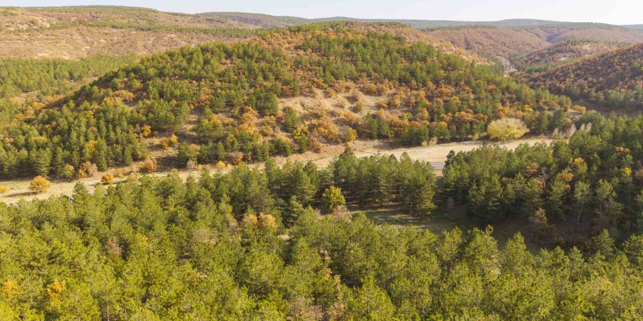 Kırıkkale’de sonbahar güzelliği