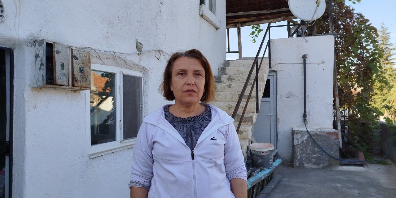 Evin çatısına yuva yapan eşek arıları hastanelik etti