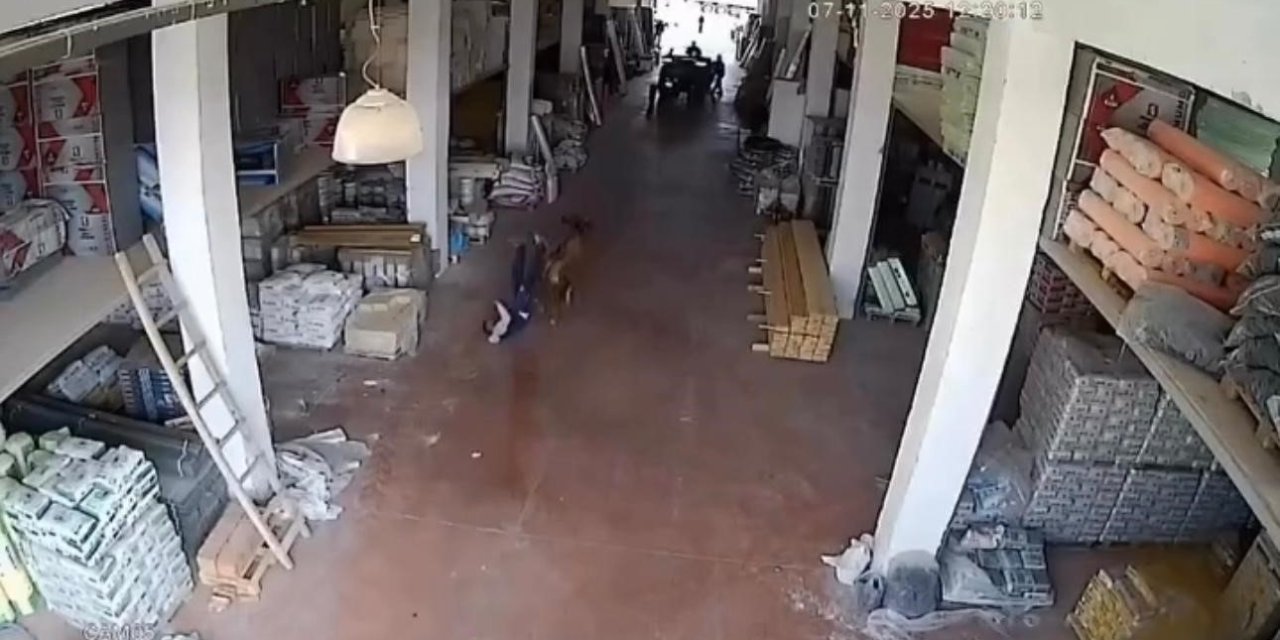 Depoya giren inek çalışanlara saldırdı: Vatandaşlar güçlükle kurtuldu