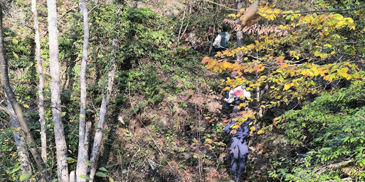 Kayıp annenin cesedini kuzgunu takip eden vatandaşlar bulmuş