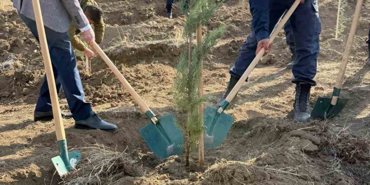 Fidanlar toprakla buluştu