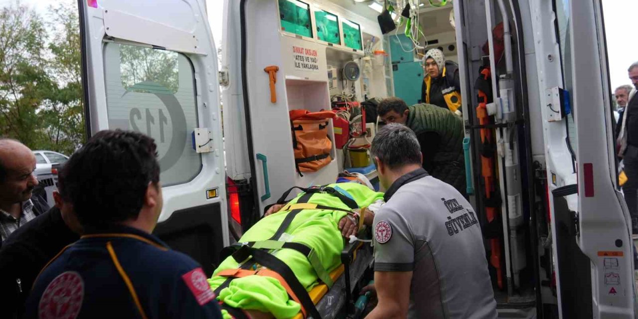 Mantar toplarken ayının saldırısına uğrayan imam yaralandı