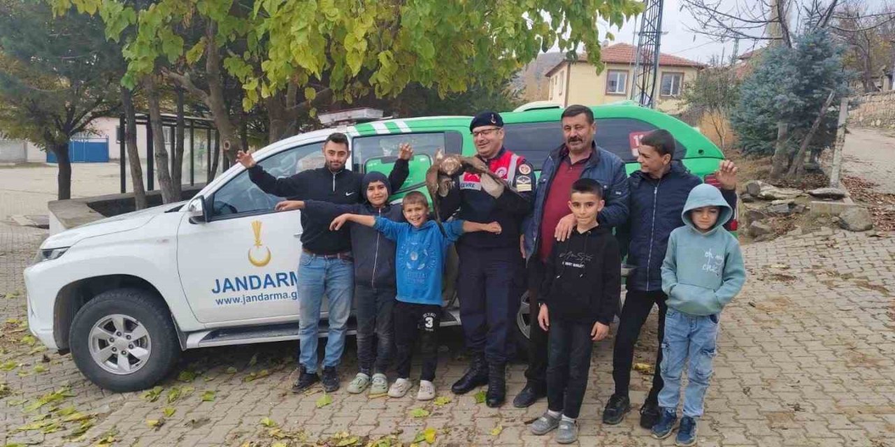 Yozgat’ta bulunan yaralı kızıl şahin çocukların ilgi odağı oldu