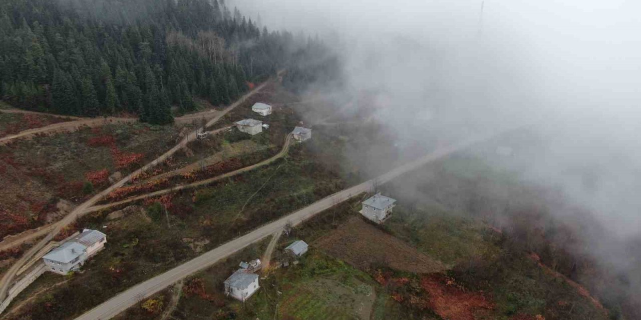 Kastamonu’da Yaralıgöz geçidinde sis nedeniyle görüş mesafesi düştü