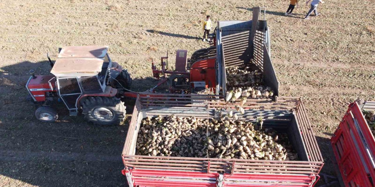 Yozgat’ta pancar mesaisi sürüyor, 6 aylık emeğin ürünleri yüzleri güldürüyor