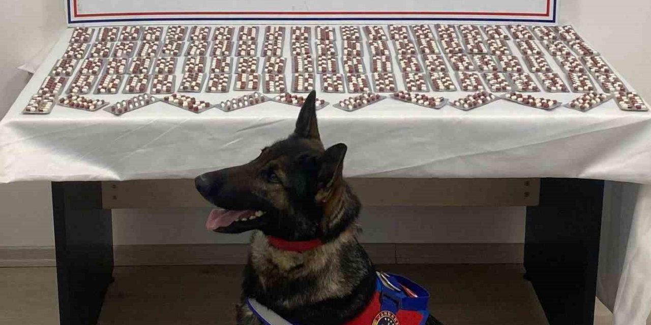 Uyuşturucuyla yakalanan şahıs utuklandı