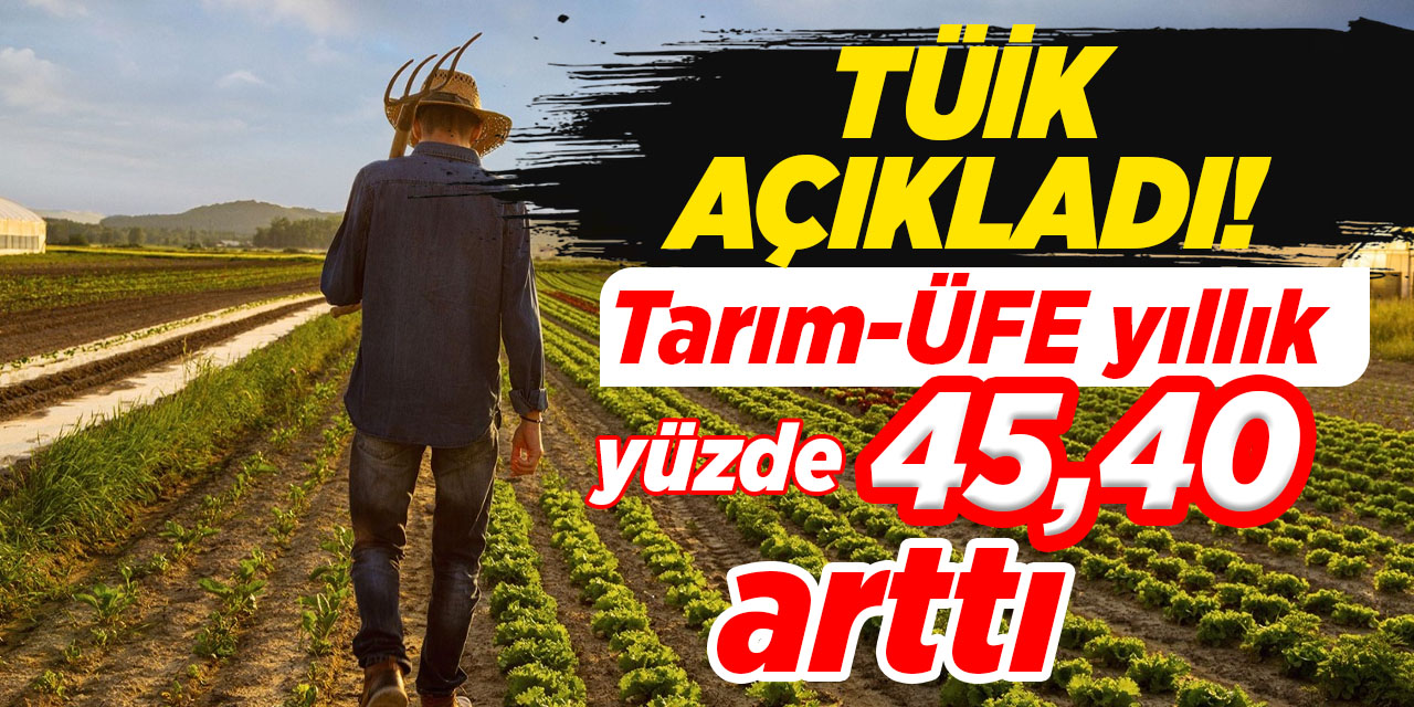 TÜİK açıkladı! Tarım-ÜFE yıllık yüzde 45,40 arttı