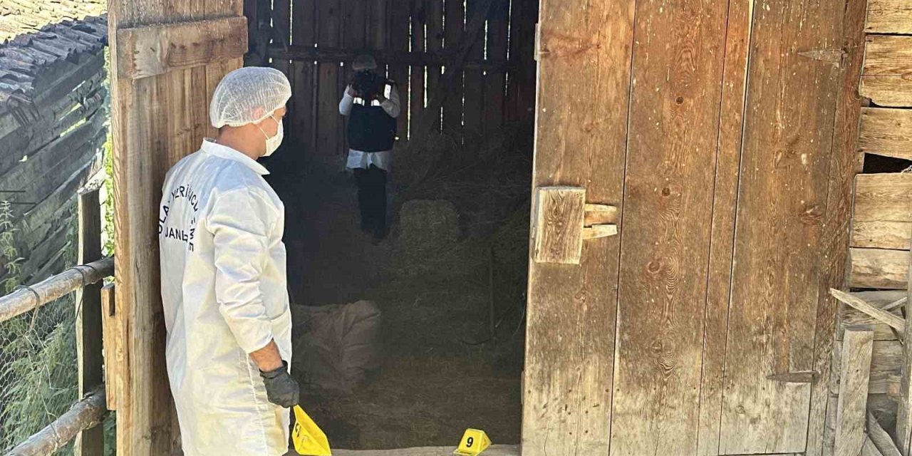 Samanlıkta işlenen cinayetle ilgili yargılama devam etti