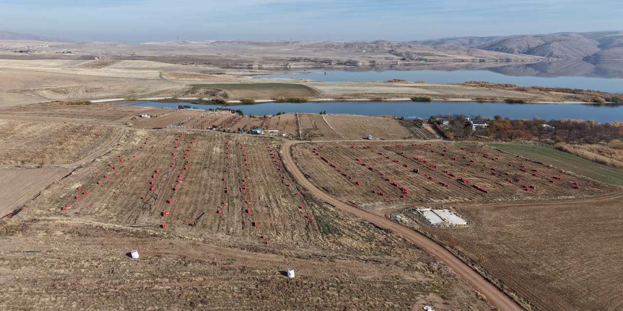 Kırıkkale’de kuraklık riski büyüyor, çiftçiden uyarı!