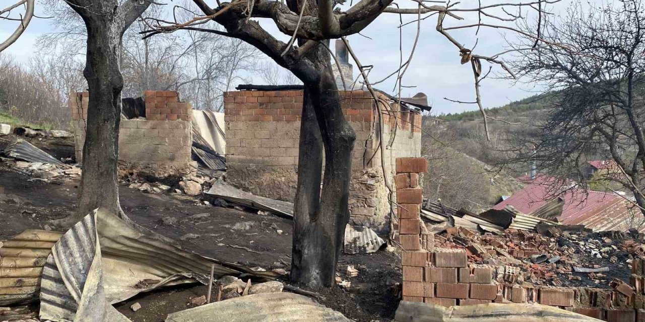 Alevlere teslim olan evde yanarak hayatını kaybetti