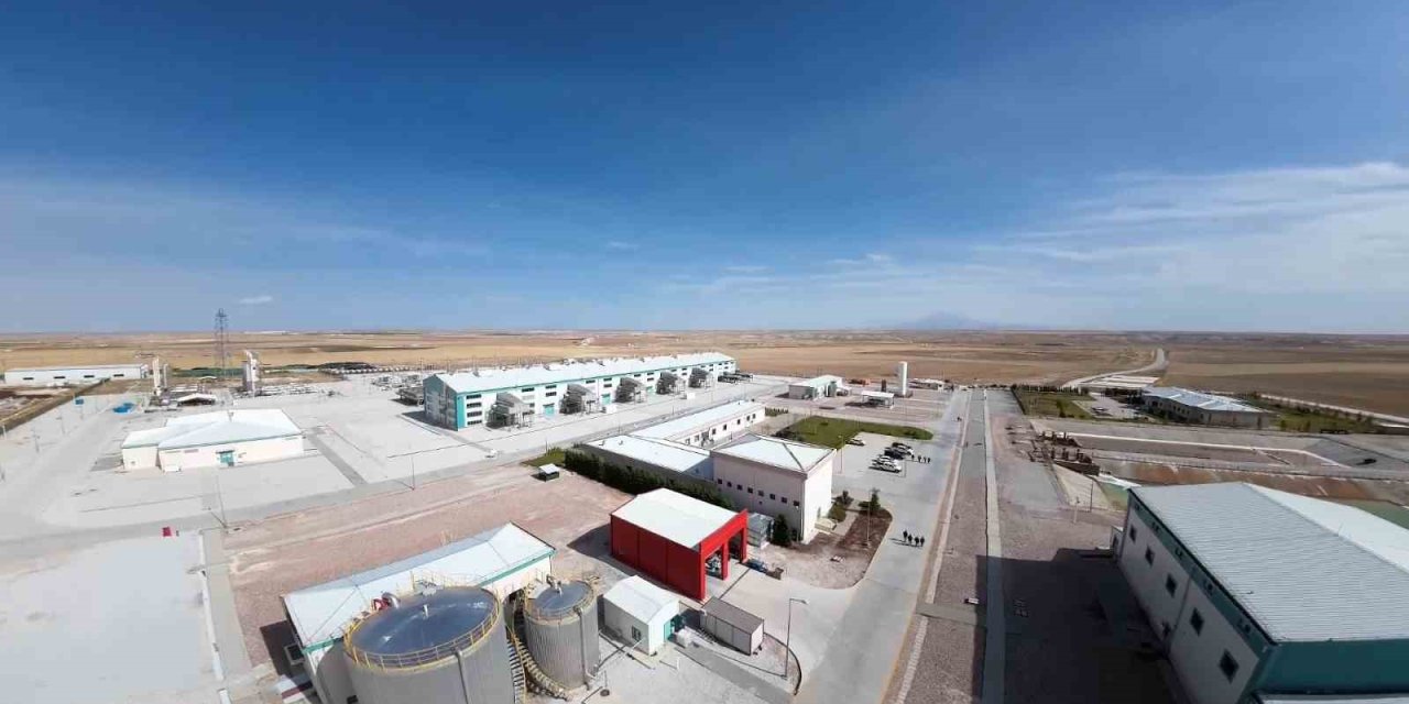 Bakan Bayraktar: "Doğal gaz depolarımız yüzde 100 dolu"