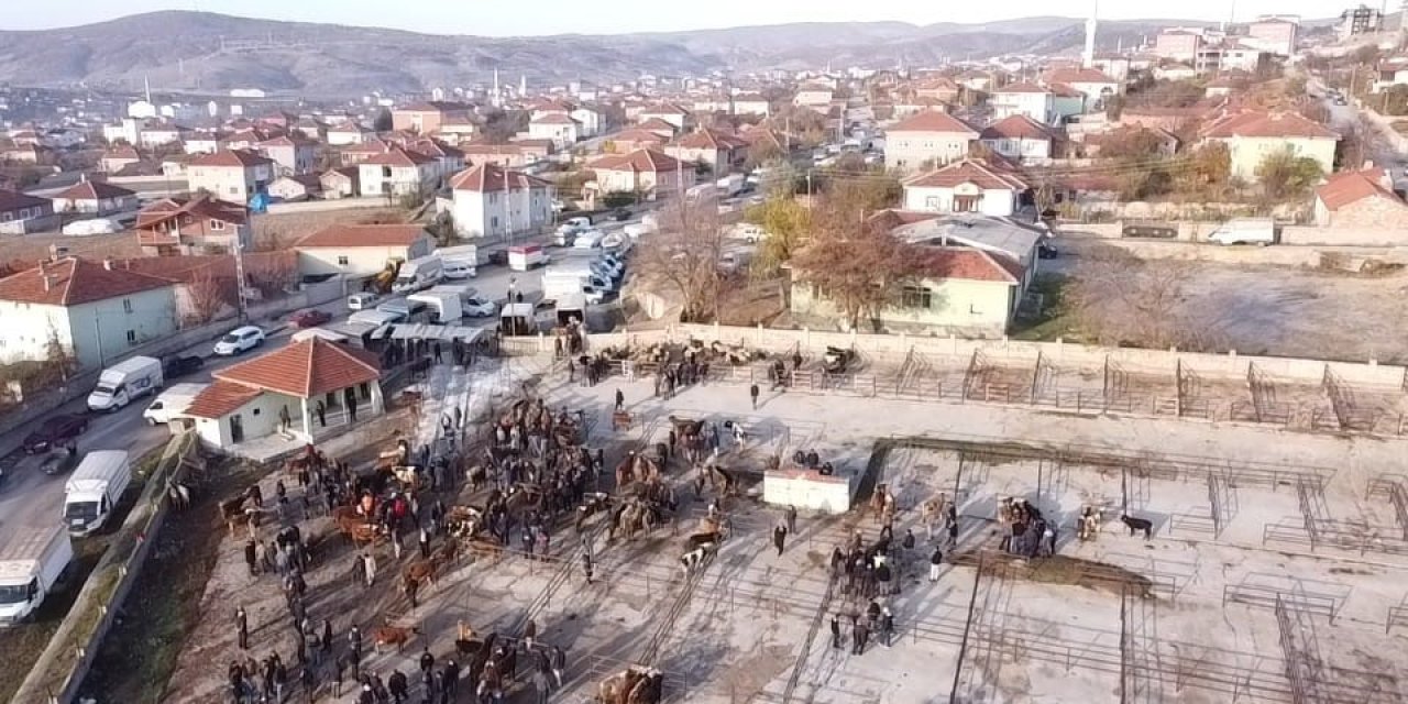 Yozgat’ta 2 aydır kapalı olan hayvan pazarı açıldı