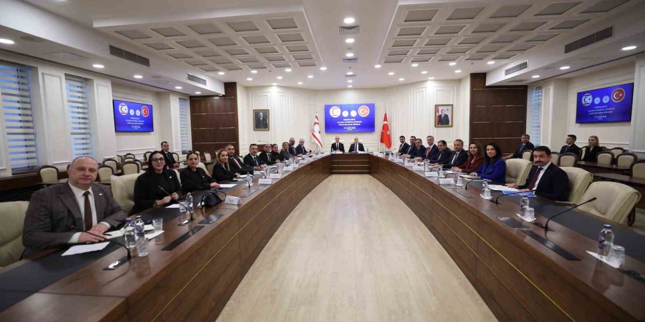 KKTC ile ortak çalışma komisyonu