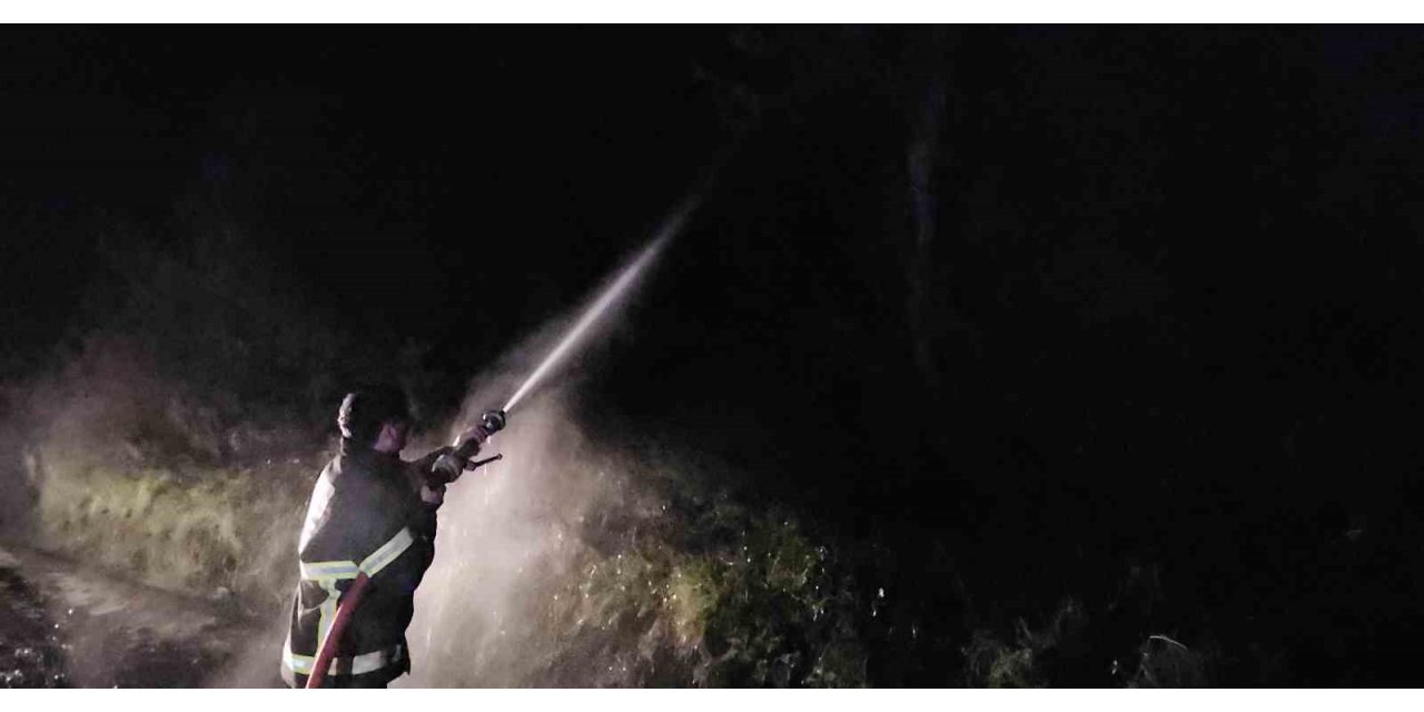 Kastamonu’da çıkan orman yangını söndürüldü