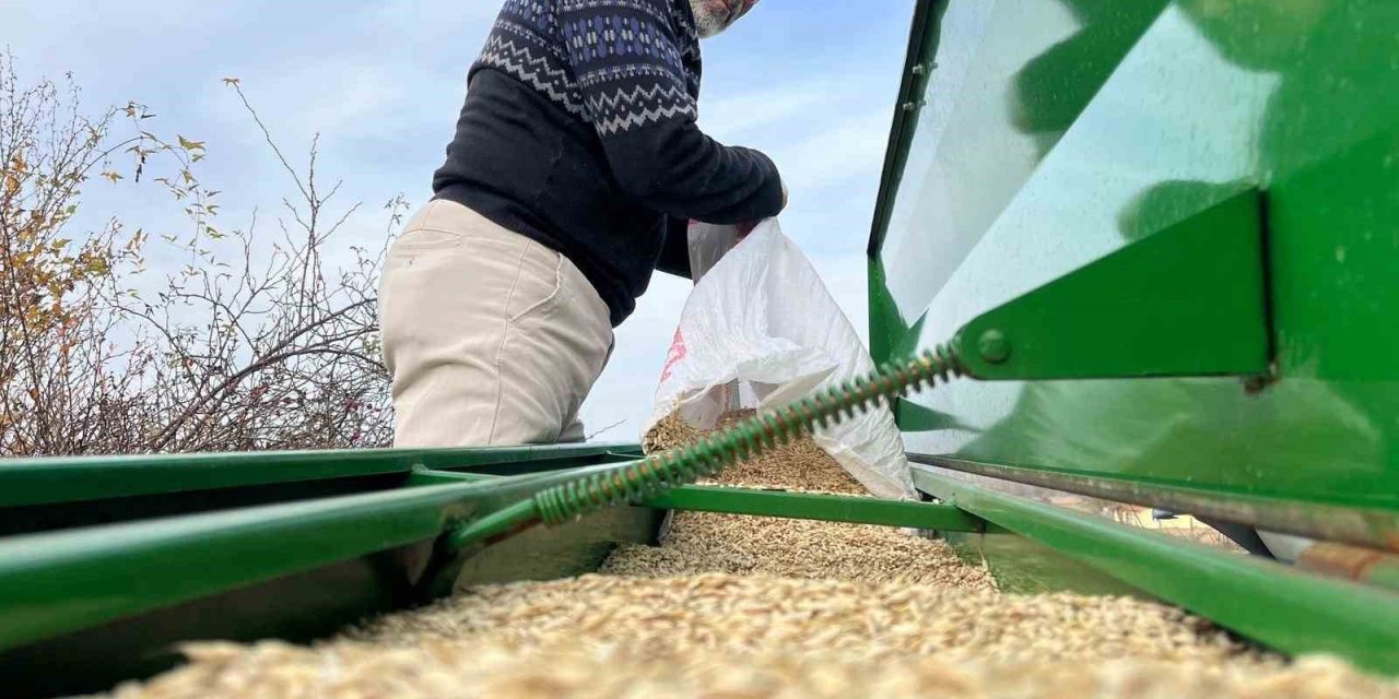 Çiftçilerin ekim mesaisi başladı, 12 bin yıllık siyez toprakla buluştu