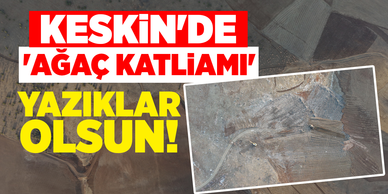 Keskin’de güneş enerjisi için yüzlerce ağacı kestiler!