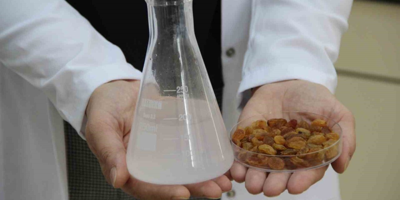 500 milyon dolarlık ihracata bilimsel kalkan