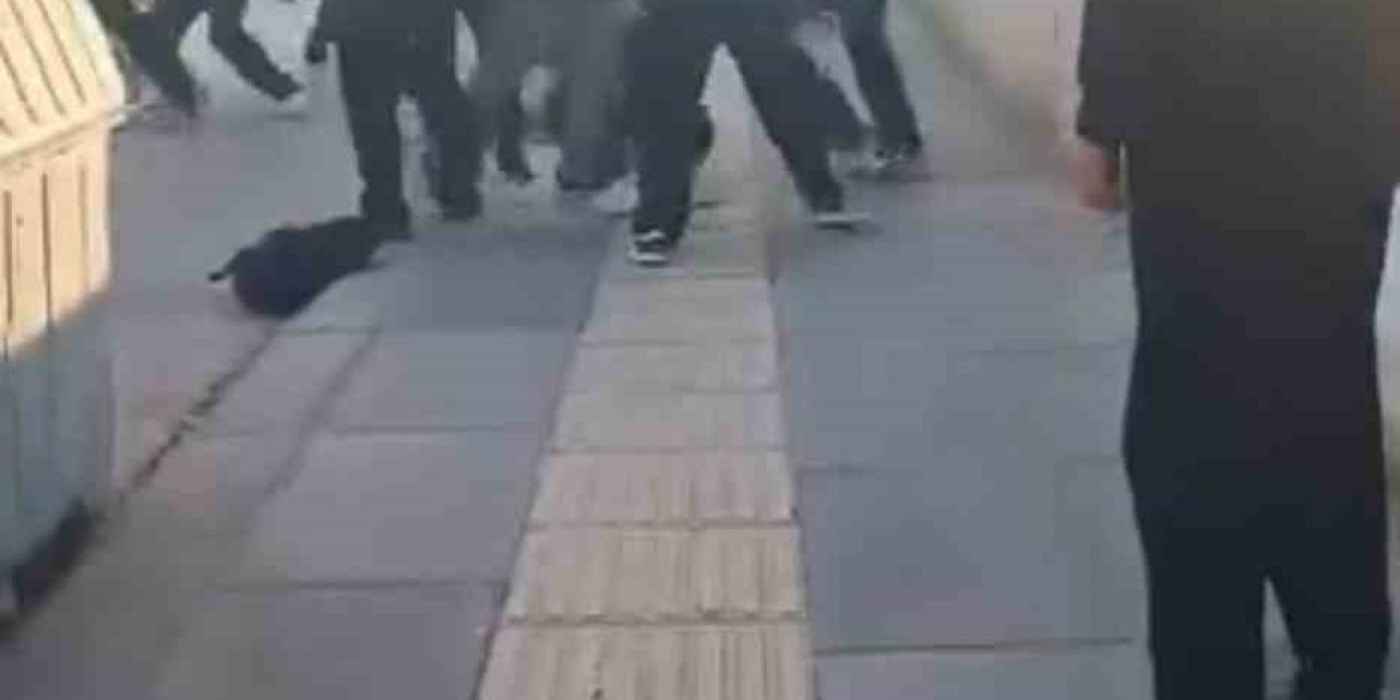 Akran zorbalığı kavgaya dönüştü