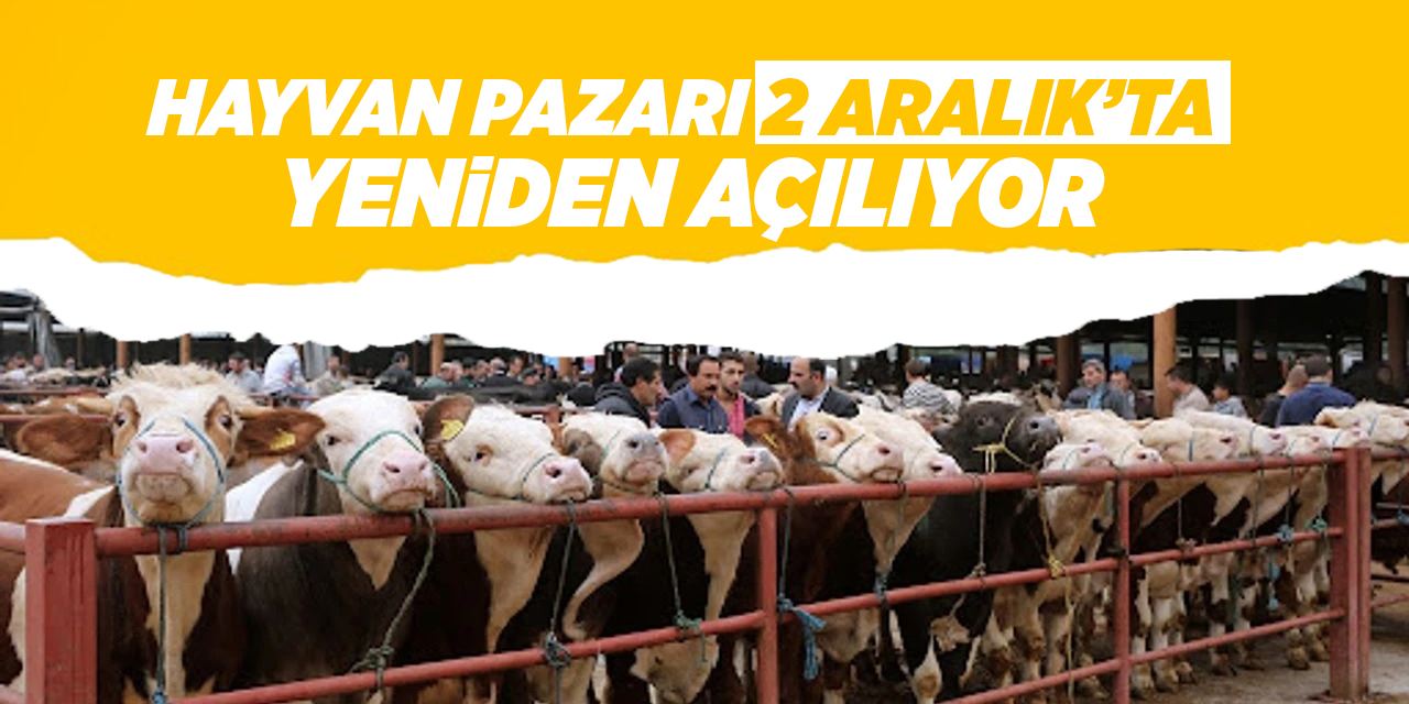 Kırıkkale hayvan pazarı 2 Aralık’ta yeniden açılıyor