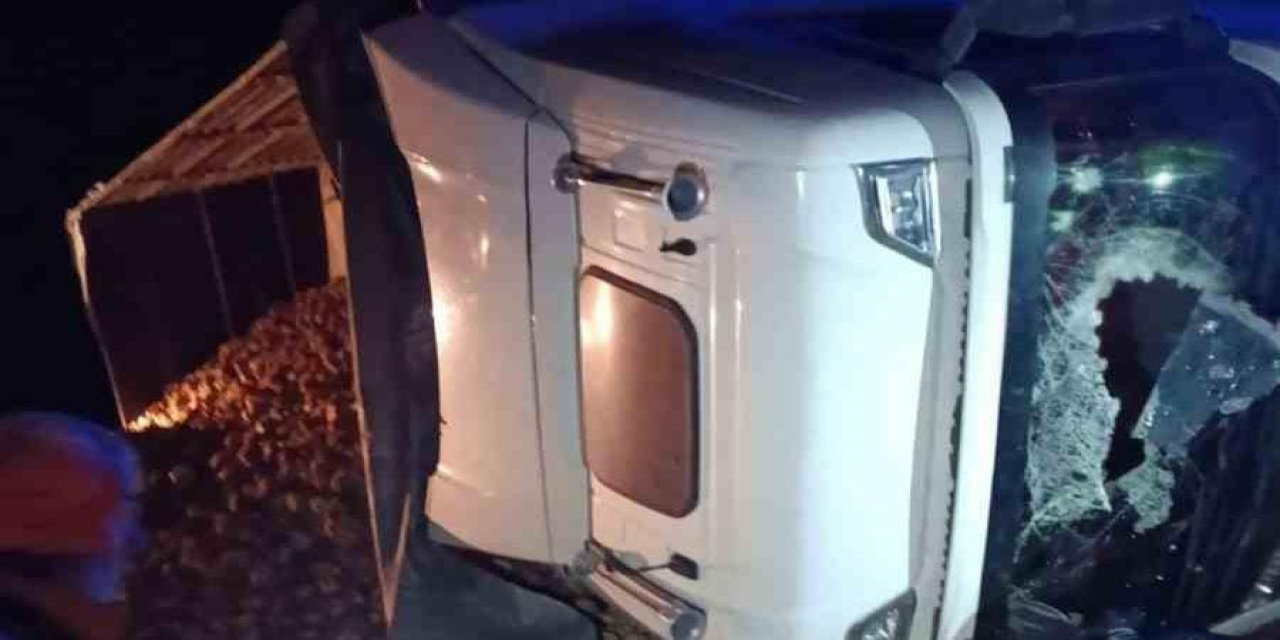 Kontrolden çıkan tır devrildi: 1 ölü