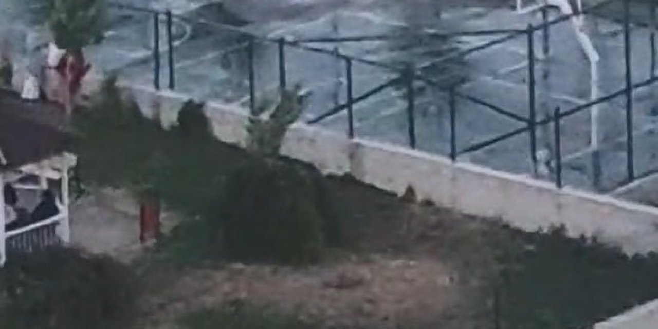 Ankara’da iki kardeşe saldıran pitbullun sahibinin, köpeğini tasmasız ve ağızlıksız gezdirdiği görüntüler ortaya çıktı