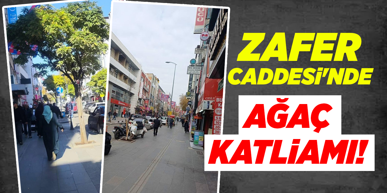 Kırıkkale Belediyesi'nden şehrin en işlek caddesinde ağaç katliamı!
