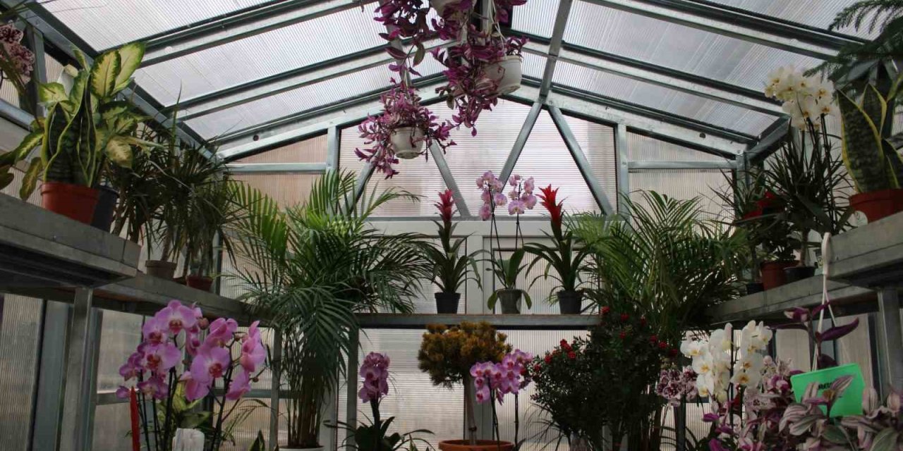 "Çiçek Doktoru"Ersan:"İnsanlar bitkileriyle ilgili yaşamış oldukları sorunları bana iletiyor ben de onlara çözümler üretiyorum"