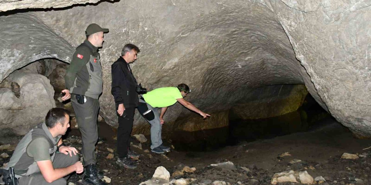 5 girişi bulunan mağara turizme kazandırılmak bekliyor