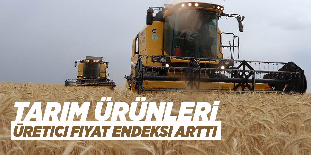 Tarım ürünleri üretici fiyat endeksi arttı