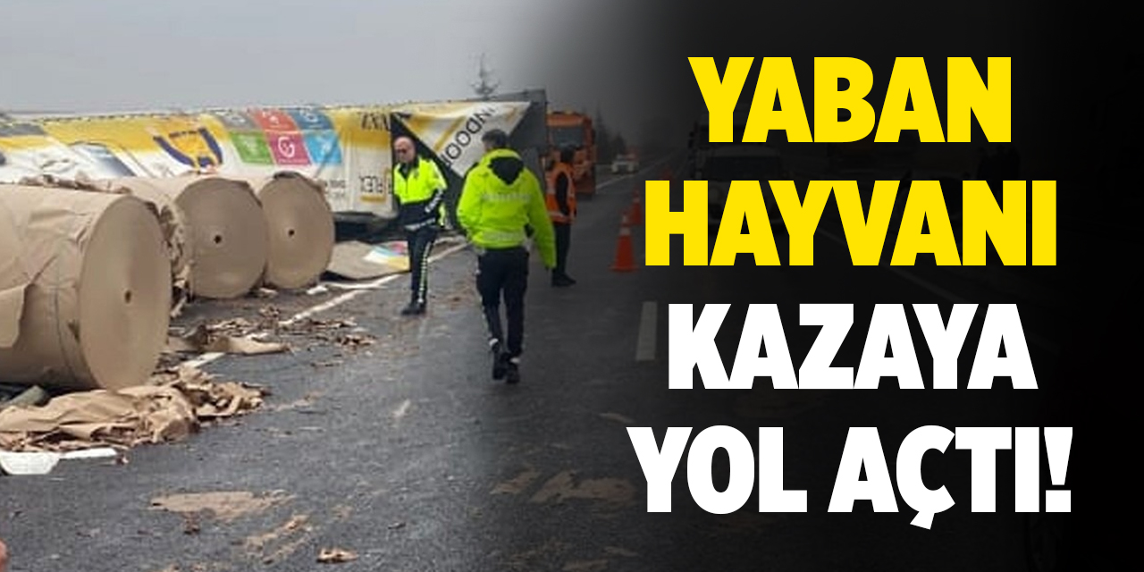 Kırıkkale'de yaban hayvanı kazaya yol açtı!