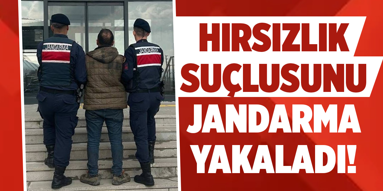 Hırsızlık suçlusunu jandarma yakaladı!