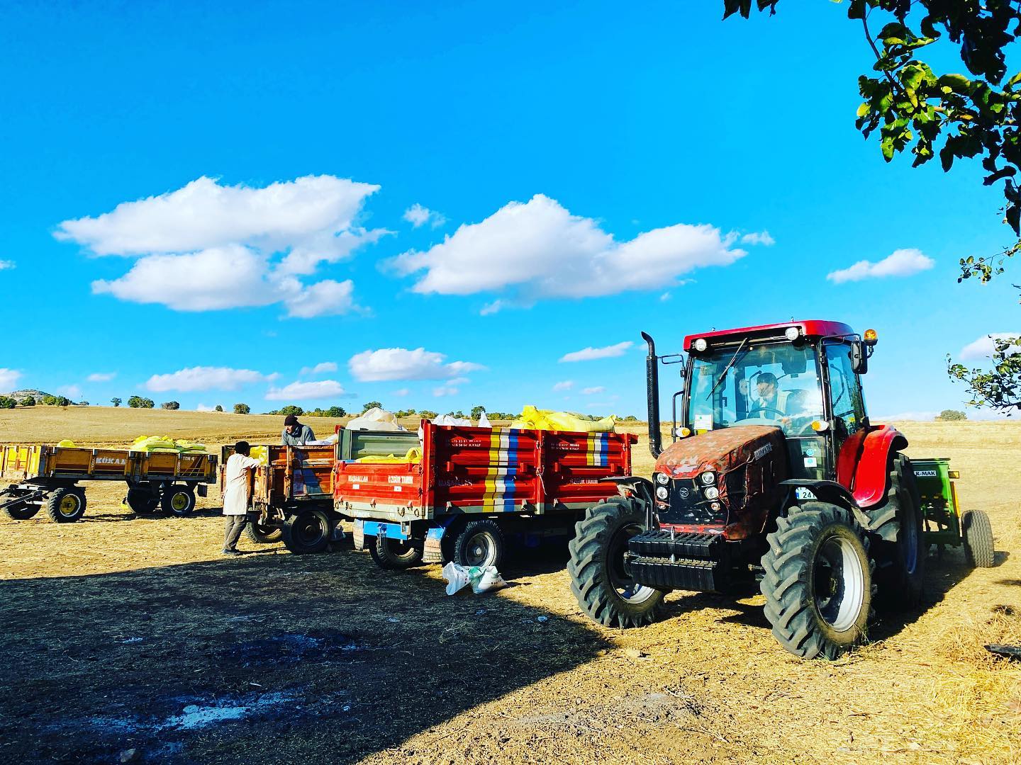 Destek listeleri askıya çıktı