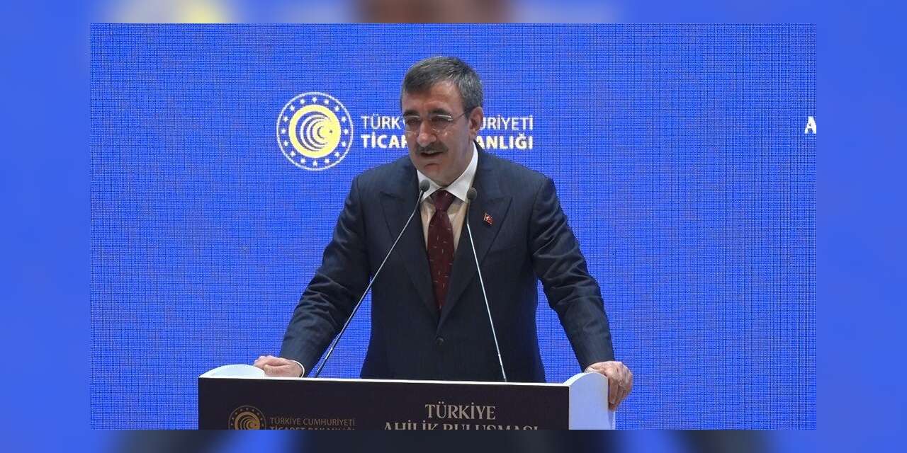 Cumhurbaşkanı Yardımcısı Yılmaz: "Ocak ayı enflasyon rakamıyla birlikte enflasyonda 20’li rakamları göreceğiz"