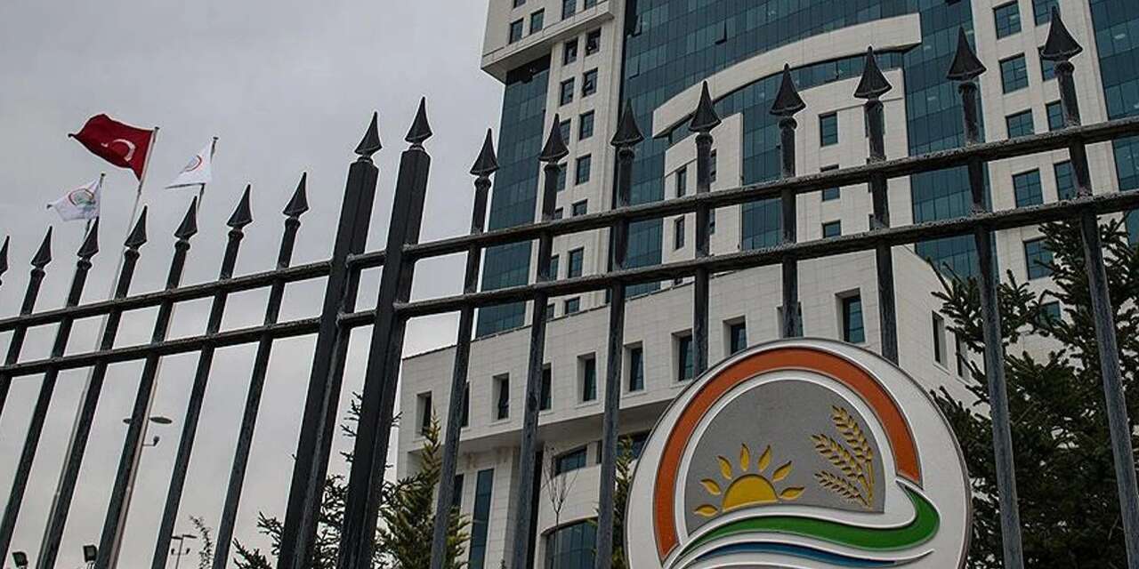 Biyolojik çeşitliliği tahrip edenler yandı!