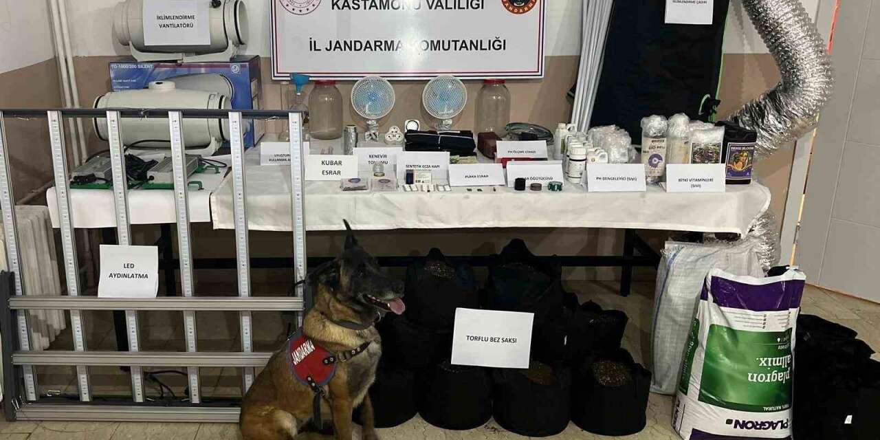 Kastamonu’da uyuşturucu operasyonu:  6 gözaltı