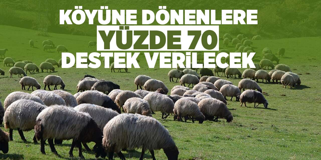 Kırıkkale'de köyüne dönenlere müjde!