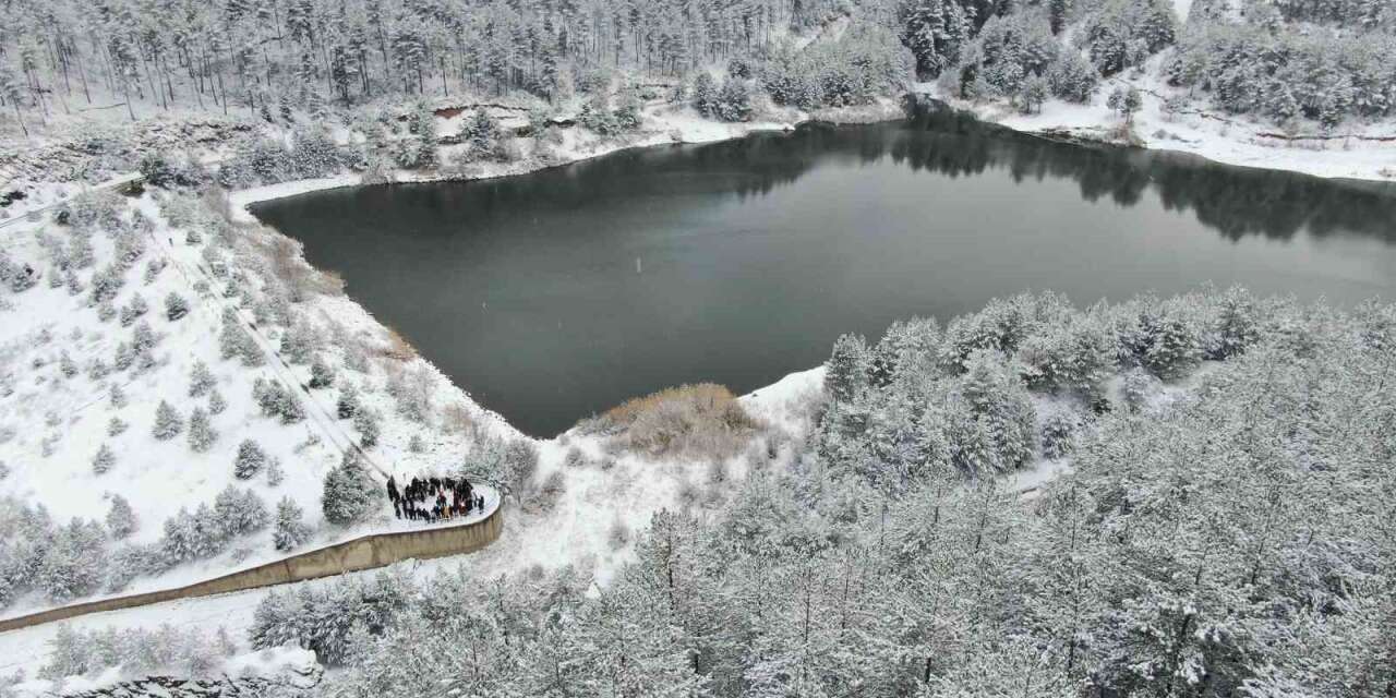 Karla kaplı orman içerisindeki gölet, kış manzarasıyla mest ediyor