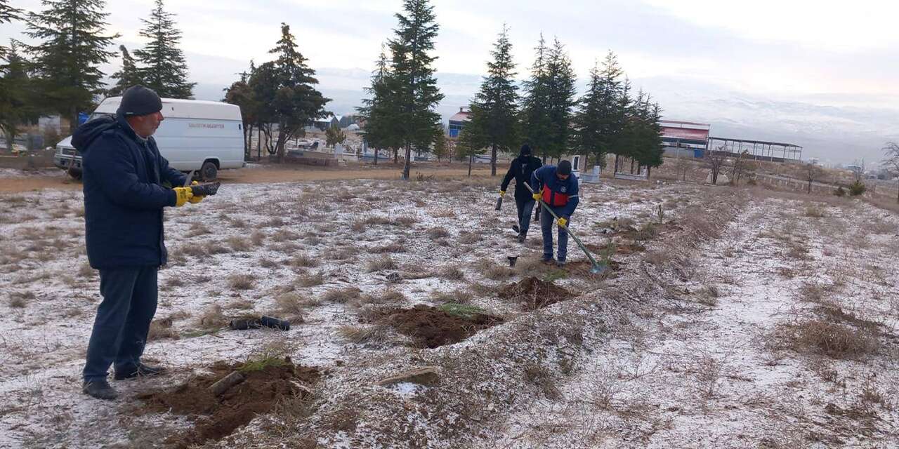 Balışeyh’te mezarlıklara fidanlar dikildi