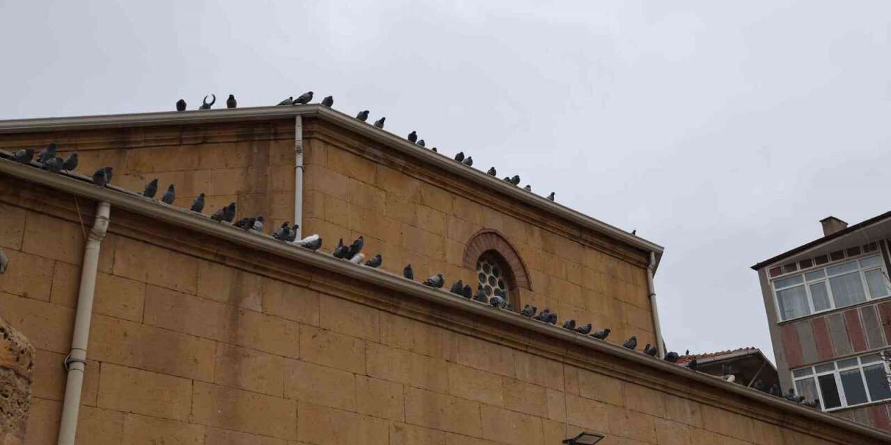Kırşehir’de tarihi Kapucu Camii güvercinlerin yuvası oldu