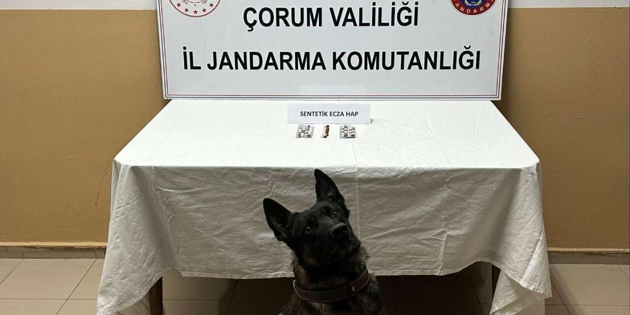 Uyuşturucu hapla yakalanan 3 kişi gözaltına alındı