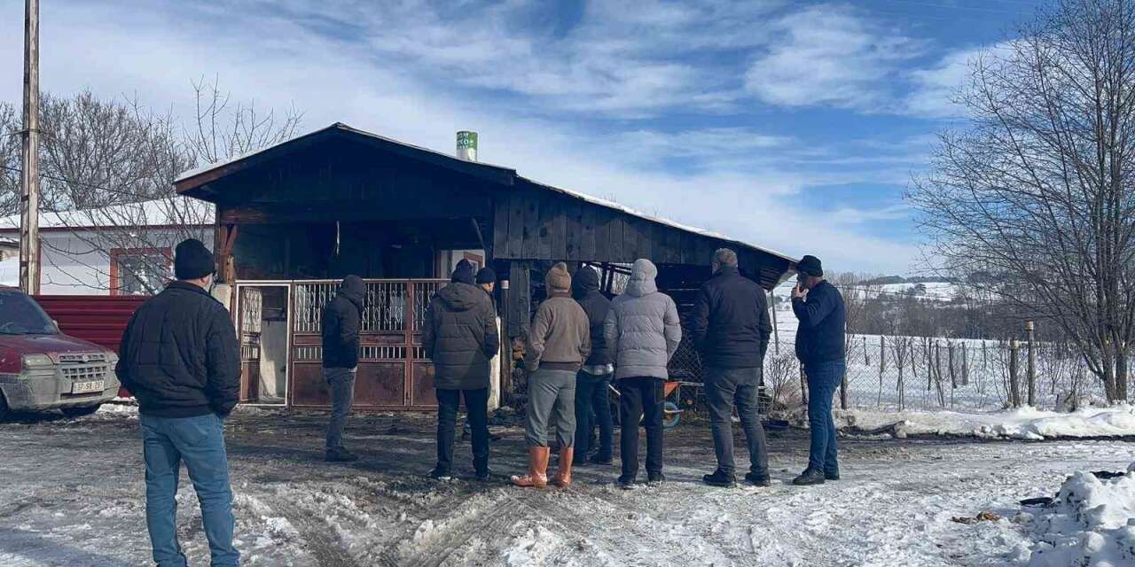 Alevlere teslim olan minibüsünü izlerken kalbine yenik düştü