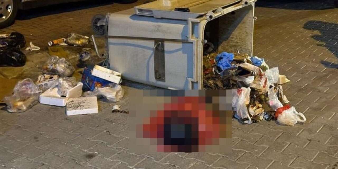 Çöp konteynerinde bebek cesedi bulundu!