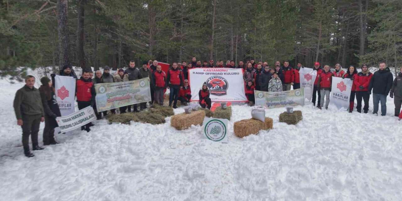 Kastamonu’da karla kaplanan ormanlara yaban hayvanları için yiyecek bırakıldı