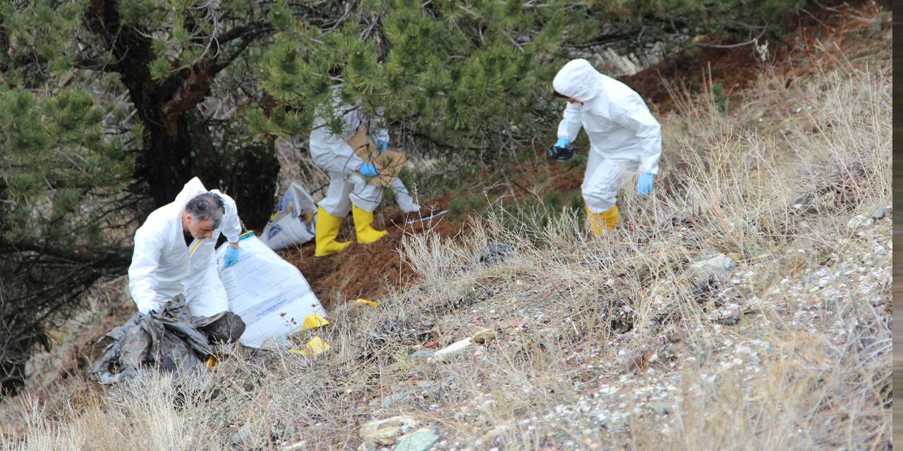 Kan donduran cinayet: Cesedi parçalanmış halde bulundu!