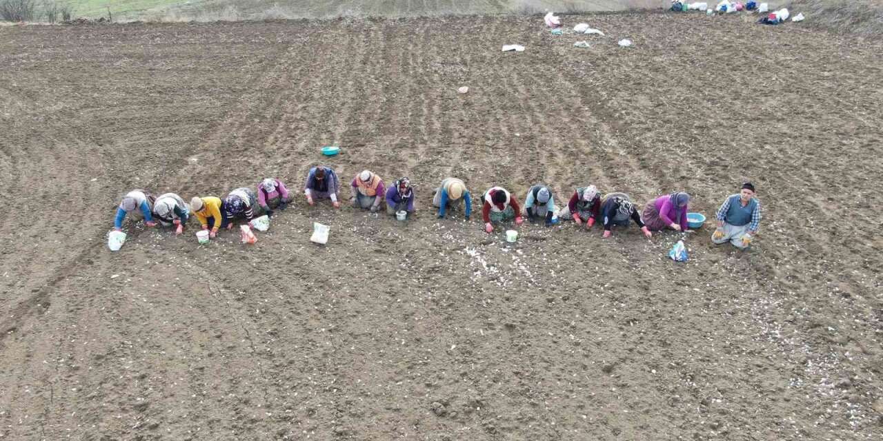 Annenin fedakarlık dolu yolculuğu: Çocukları için megakenti bırakıp toprağa sarıldı