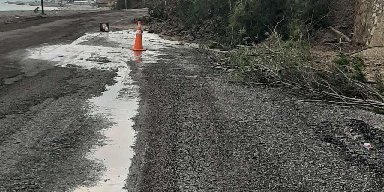 Heyelanda istinat duvarını aşan ağaçlar yola kadar geldi