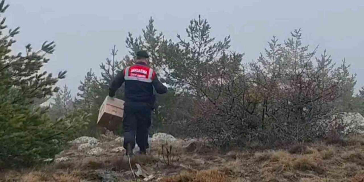 HAYDİ ekipleri doğadaki canlıları unutmadı