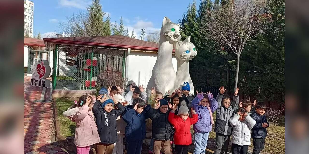 Pursaklar’da öğrencilerden kedi evine ziyaret