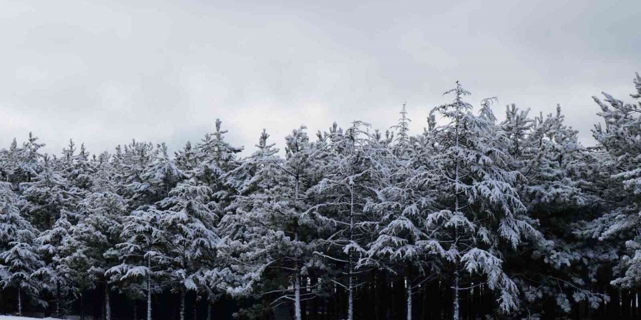 Ankara’da kar yağışı