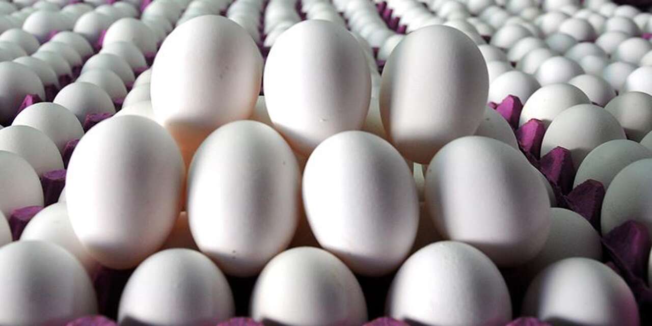 Yumurta satışlarında yeni düzenleme